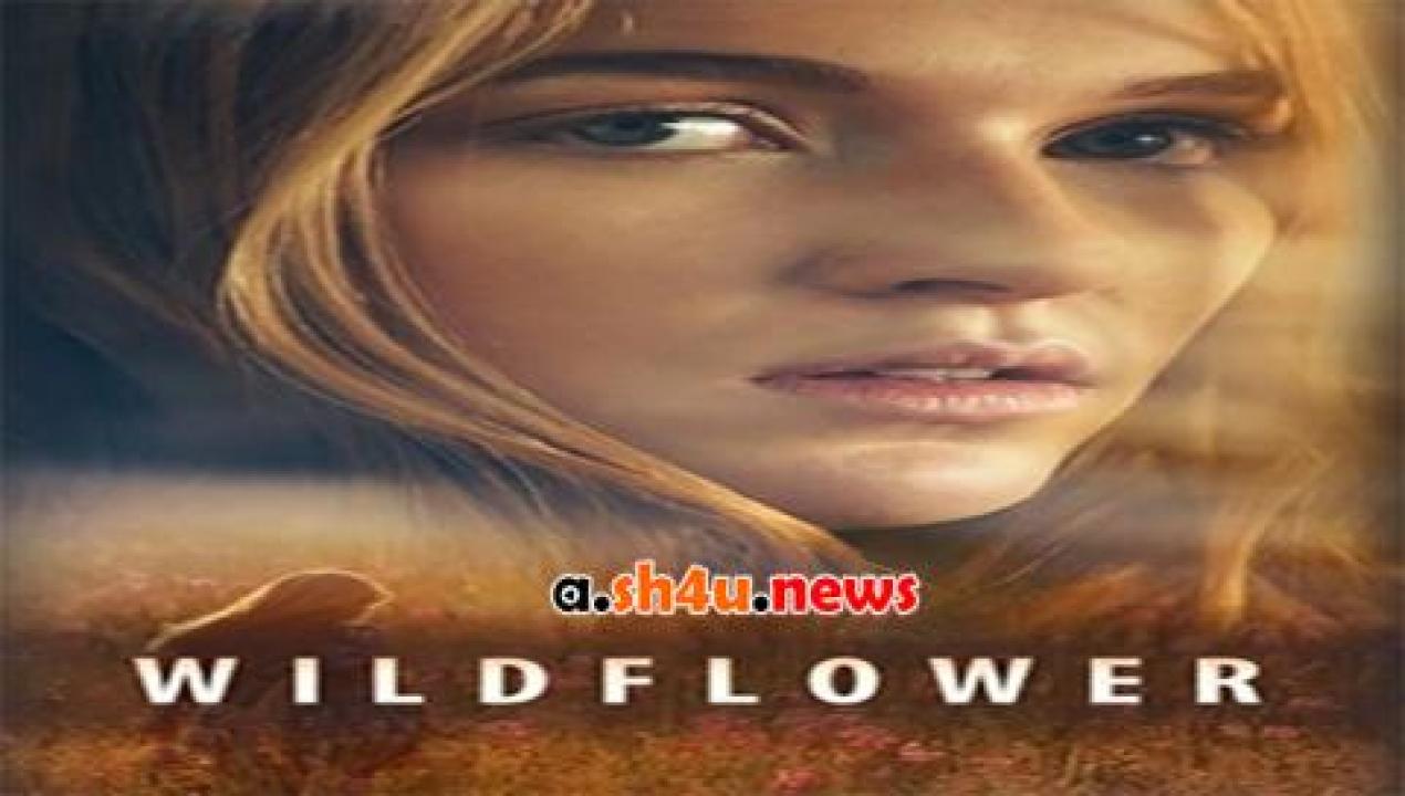 فيلم Wildflower 2016 مترجم - HD