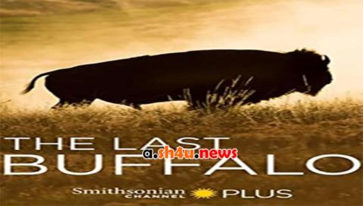 فيلم The Last Buffalo 2017 مترجم - HD