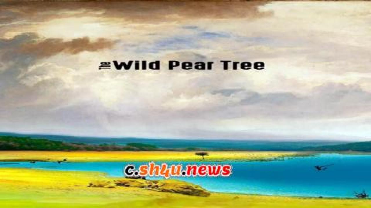 فيلم The Wild Pear Tree 2018 مترجم - HD