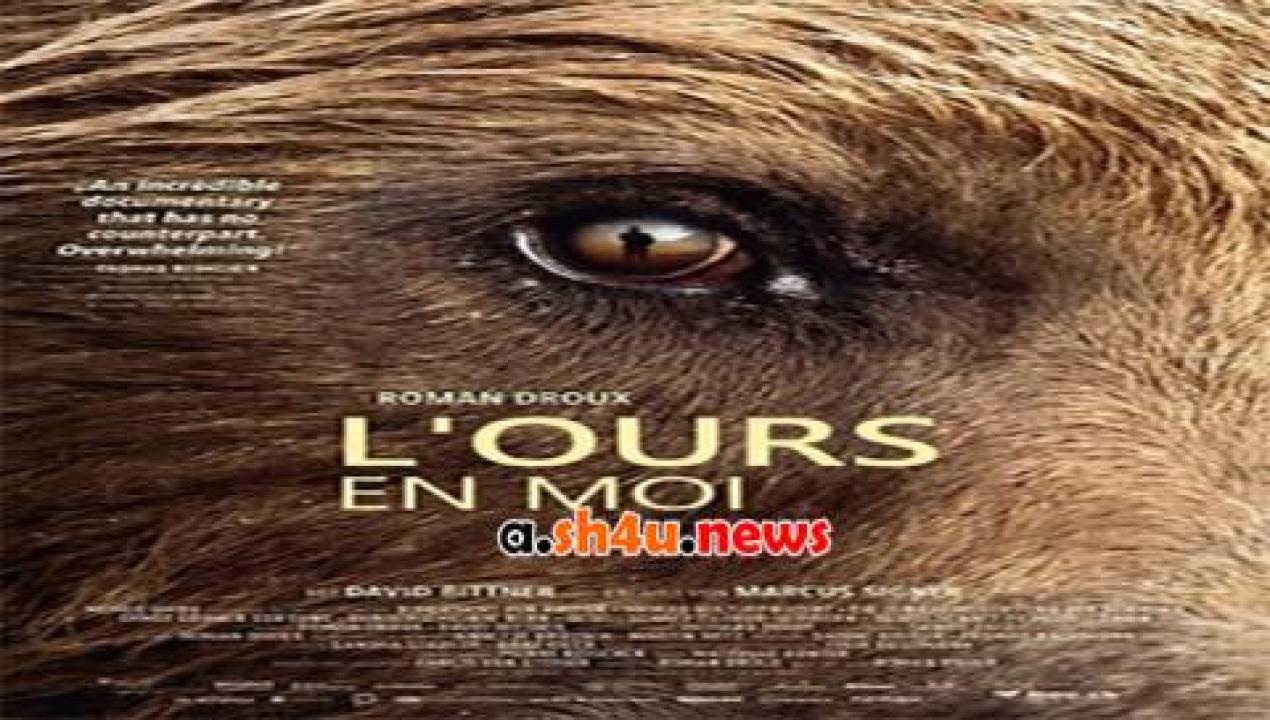 فيلم Bear Like 2019 مترجم - HD