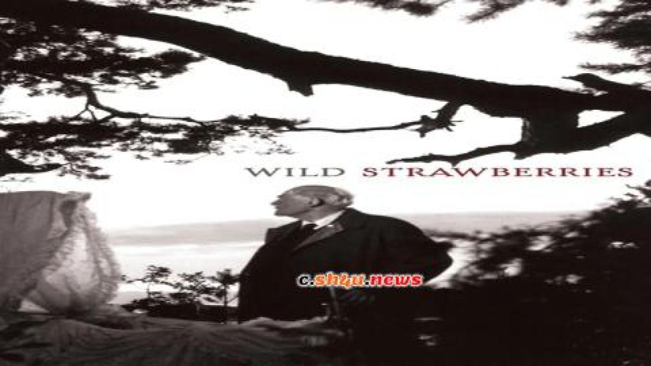 فيلم Wild Strawberries 1957 مترجم - HD