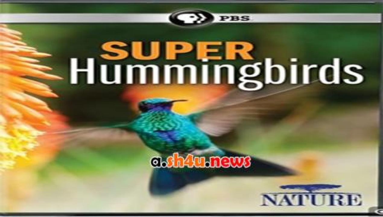 فيلم Super Hummingbirds 2016 مترجم - HD